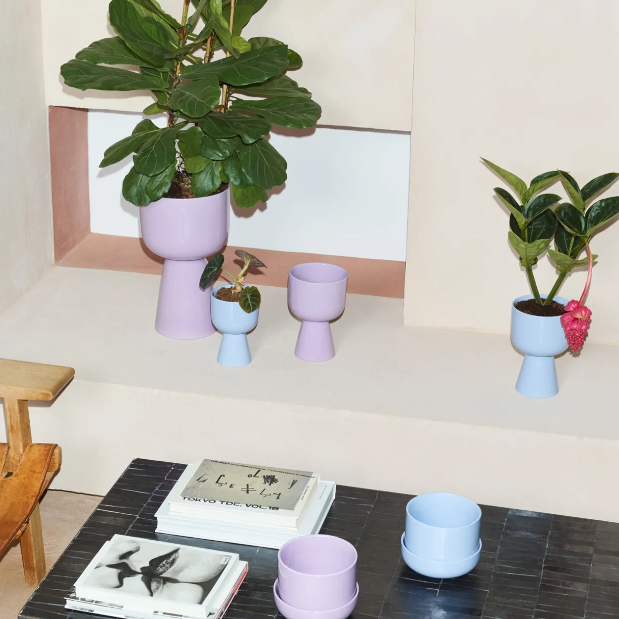 Kukkaruukku vedensininen jalallinen S