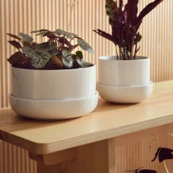 Ruukku ja vati valkoinen M