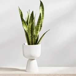 Ruukku valkoinen jalallinen S