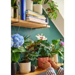 Ruukku 100x120mm mattamusta