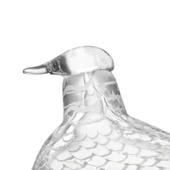 Sovinnon kyyhky 160x110mm