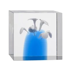 Vuosikuutio 85x80mm 2024